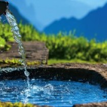 Пить или не пить: в чем польза и вред родниковой воды?